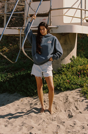 Unisex Wave Hoodie (Grey Blue)
